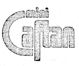 MINI CAFTAN trademark
