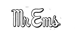 MR EMS trademark
