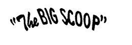 "THE BIG SCOOP" trademark