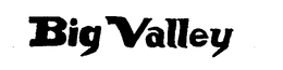 BIG VALLEY trademark