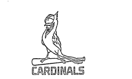 CARDINALS trademark