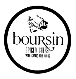 BOURSIN SPICED CHEESE WITH GARLIC AND HERBS trademark