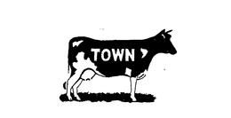 TOWN trademark