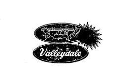VALLEYDALE trademark