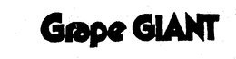 GRAPE GIANT trademark