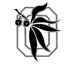 O trademark