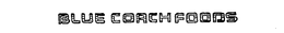 BLUE COACH FOODS trademark