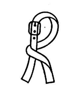 R trademark