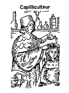 CAPILLICULTEUR trademark