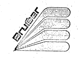 BRUISER trademark
