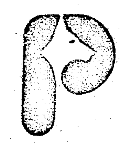 P trademark