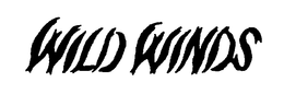 WILD WINDS trademark