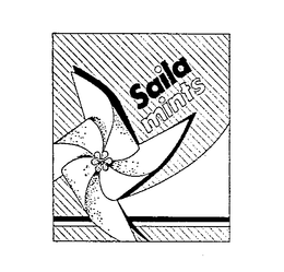 SAILA MINTS trademark