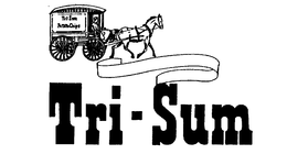 TRI-SUM trademark