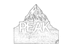 PEAK PROFESSIONAL COOLING SYSTEM CLEANER trademark