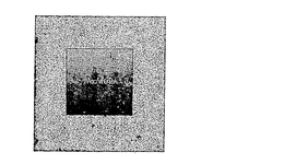 MACARTHUR PARK trademark