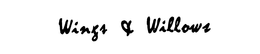 WINGS & WILLOWS trademark