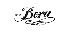 BRAIN BORU trademark