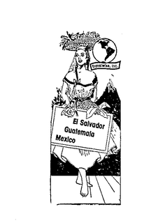 TRAVELWISE INC.  EL SALVADOR GUATEMALA MEXICO trademark
