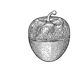 LogoMark trademark