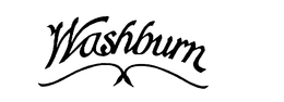 WASHBURN trademark