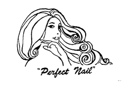 "PERFECT NAIL" trademark