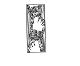 BIG FEET trademark