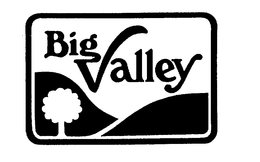 BIG VALLEY trademark