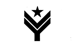 VY trademark