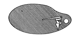 P trademark