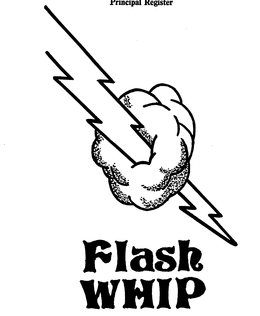 FLASH WHIP trademark