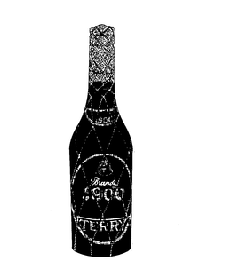 BRANDY 1900 TERRY trademark