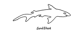 SAND SHARK trademark