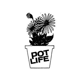 POT LIFE trademark