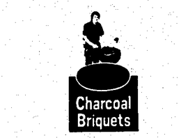 CHARCOAL BRIQUETS trademark