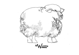 WYOMING WOOLENS trademark