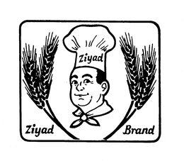 ZIYAD ZIYAD BRAND trademark