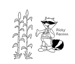 RICKY RACOON trademark