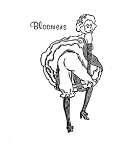 BLOOMERS trademark