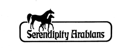 SERENDIPITY ARABIANS trademark