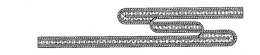 SS trademark
