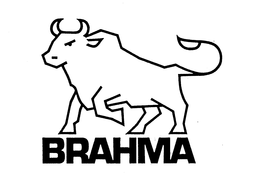 BRAHMA trademark