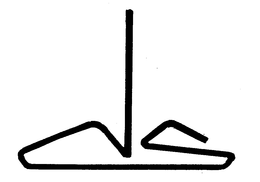 DS trademark