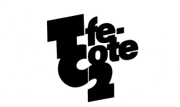 TFE-COTE 2 trademark