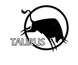 TAURUS trademark