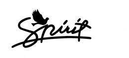 SPIRIT trademark