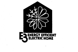 E3 ENERGY EFFICIENT ELECTRIC HOME trademark