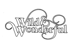 WILD & WONDERFUL trademark