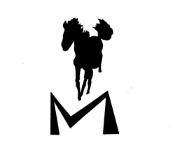 M trademark