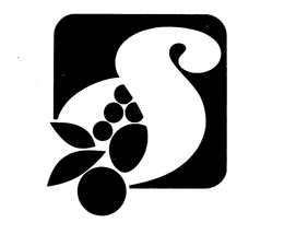 S trademark